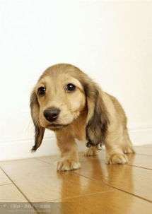 根据生肖选择名字（小心踩雷！）