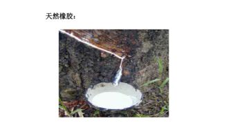2) 塑料及橡胶替代品之考量
