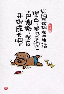 生肖鸡：精明中的孤独