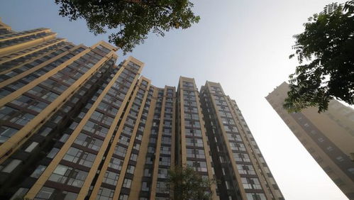 视野开阔与心理效应