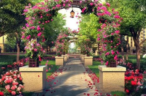 玫瑰园の终极摆烂指南：2026年黄历警告版