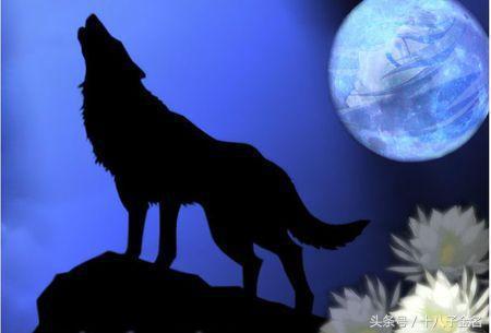 狼来了时村人皆惧，夜较深人静狼真实至，村人却皆死，这背后有何隐情？