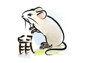 感情运势：虐心剧开播