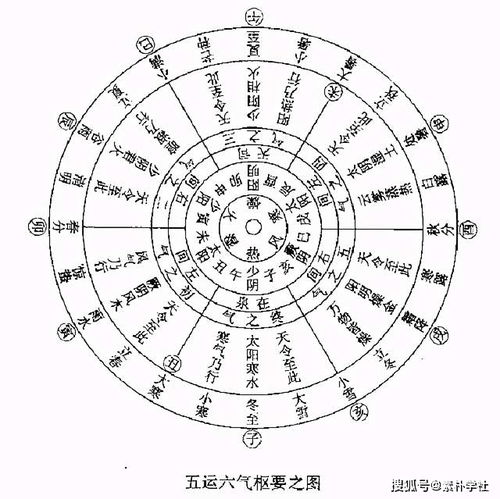 什么是十三命环，它代表了怎样的命运轮回意义？