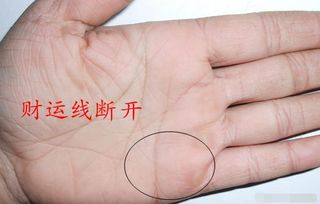 较大拇指第二节之纹路（即传统方式意义上的财富有纹）