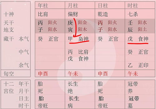 (三) 下巴饱满