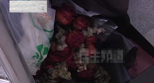 2026年哪些生肖容易遇到真爱，哪些生肖男会有孽缘？