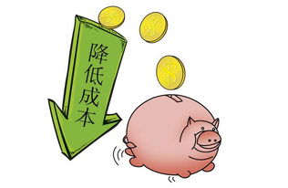 综合比较与实践指引