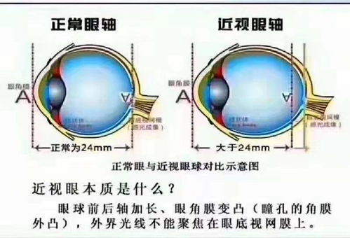 从生理到心理层面的综合效应
