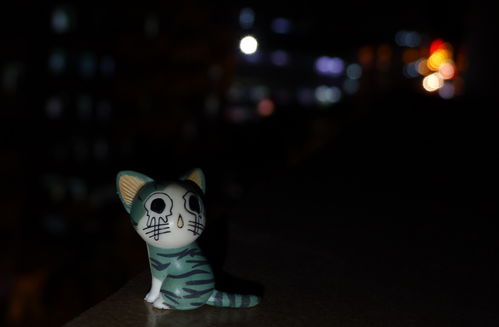 夜幕下的惊魂