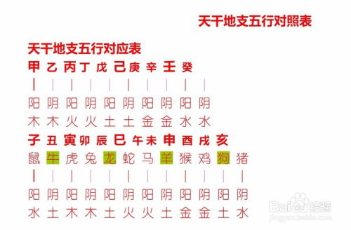 取名时究竟应该更看重五行还是八字来决定名字？