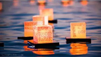 3. 滋养万物与生命哲学