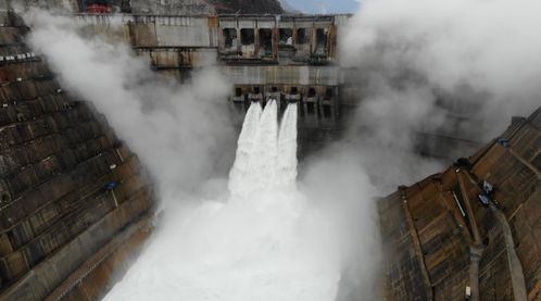 厕所里的惊魂一刻