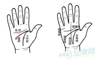 2. 金星带上的星纹或岛纹表现