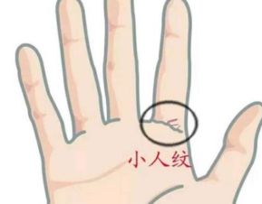 一、 较小人纹的形态定义及辨识要点