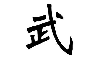 武姓属兔男孩名字两字如何改写为长尾？
