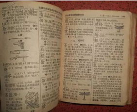 六、 案例研析：杨丽家庭中的择日冲突