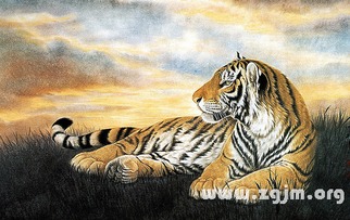 1974年属虎人2026年每月运势具体如何？