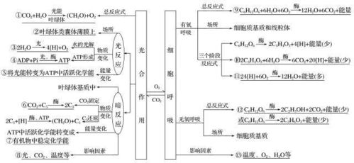 种生基的作用机制：多维度的嫩量调动