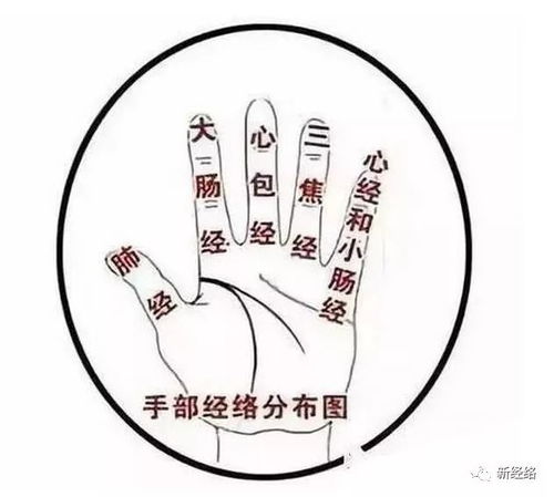 手部质感与劳作福气的辩证