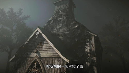 山谷传说：遗忘的山谷与邪恶巫师