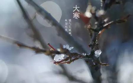 四、 养生保健与生活方式调整