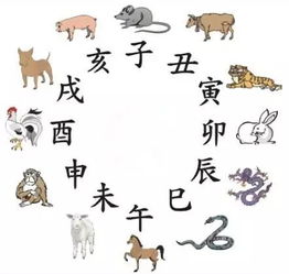 快字对应的生肖是什么？快字代表的生肖是哪个？