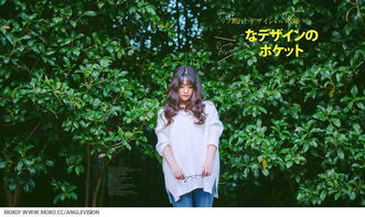 打造宁静治愈的网络空间——基于日系女性网名之美学阐释与实践路径探讨（学术报告）