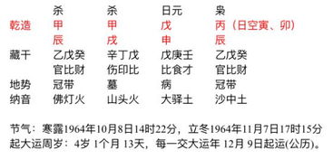 乾造命究竟有哪些独特优势？阴乾造男命是什么含义？