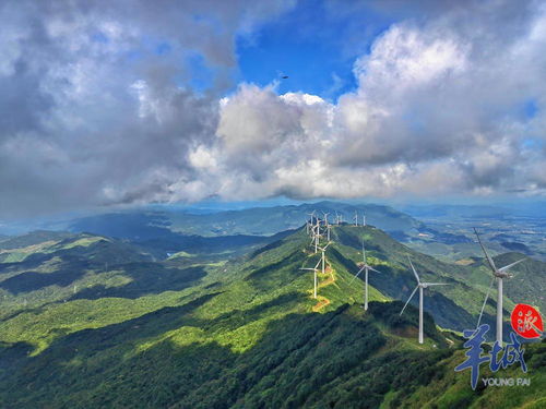 风水岭和雷公岭风水视频具体在哪个地方？