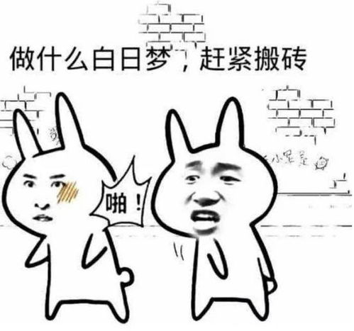 三、 流行版本与地域差异：从全国统一到地方变体