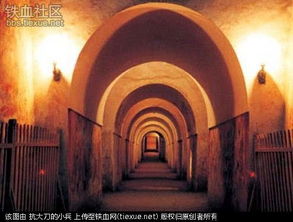 1）黄巢起义军的挖掘行动