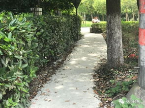 过年门口挂葱有什么风水讲究？