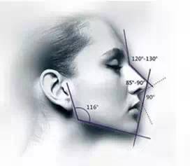 二、 鼻相与颧骨及其他面部结构的交互影响