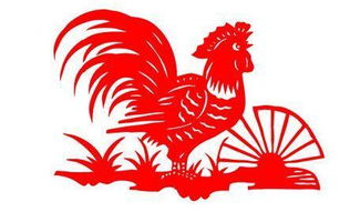 2026年属鸡的人两喜一灾具体指的是什么？