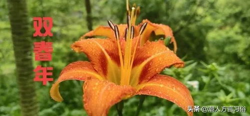 二、 闰二月的主要民间说法及其象征意义