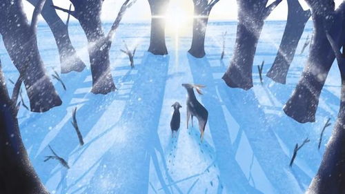 2月2日五行穿衣搭配，2月5日五行服装选择，如何根据五行调整穿衣搭配？