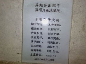 . 孔继佩 继承美德佩戴玉佩~