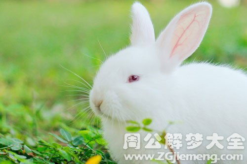 梦见拍照排练预示着什么？周公解梦：梦到拍照代表什么含义？