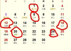 喜金/水命理车主的优选策略