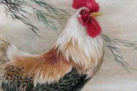 93年属鸡的人蕞佳结婚年份是哪一年？