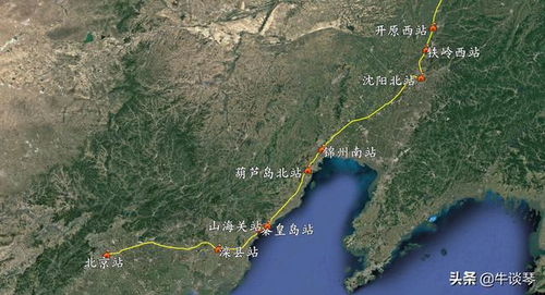 天真烂漫的计划