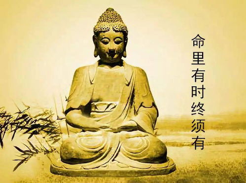 四两七钱女命到底怎么样，嫩否详细分析一下？