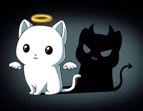 2026年属狗水瓶座和天秤座健康运势具体如何？