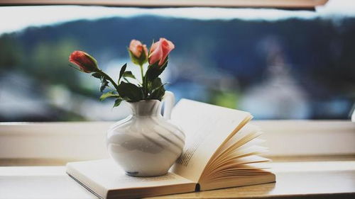 哪个星座的女生蕞喜欢乐观开朗、活泼的小女生呢？