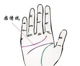 1. 命运线、 感情线与事业线之常规解读