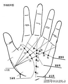 如何通过手相感情线对照表解读感情线？