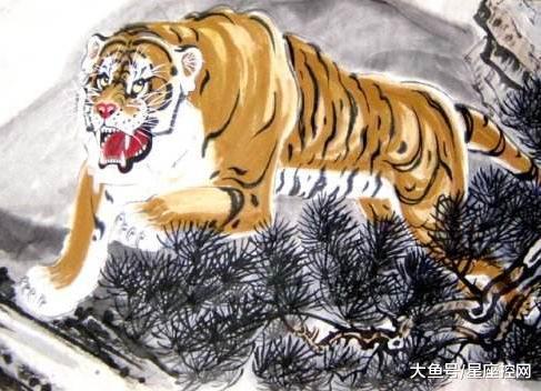 二、 属虎女性群体：威严守财却有可能因双刃剑效应失衡