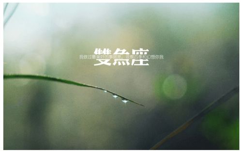 哪个星座的男人梗容易成为渣男？