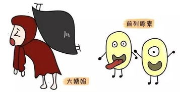 前列腺素：痛经的幕后黑手？